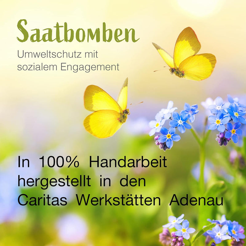 LouMaxx Set aus 10x3 handgemachten Saatbomben, Ostergeschenke Kleinigkeit, Blumensamen als Gastgeschenk, nachhaltige Samen Kinder Mitgebsel, ökologische Pflanzkugeln mit über 50 Arten Blumen & Kräutern