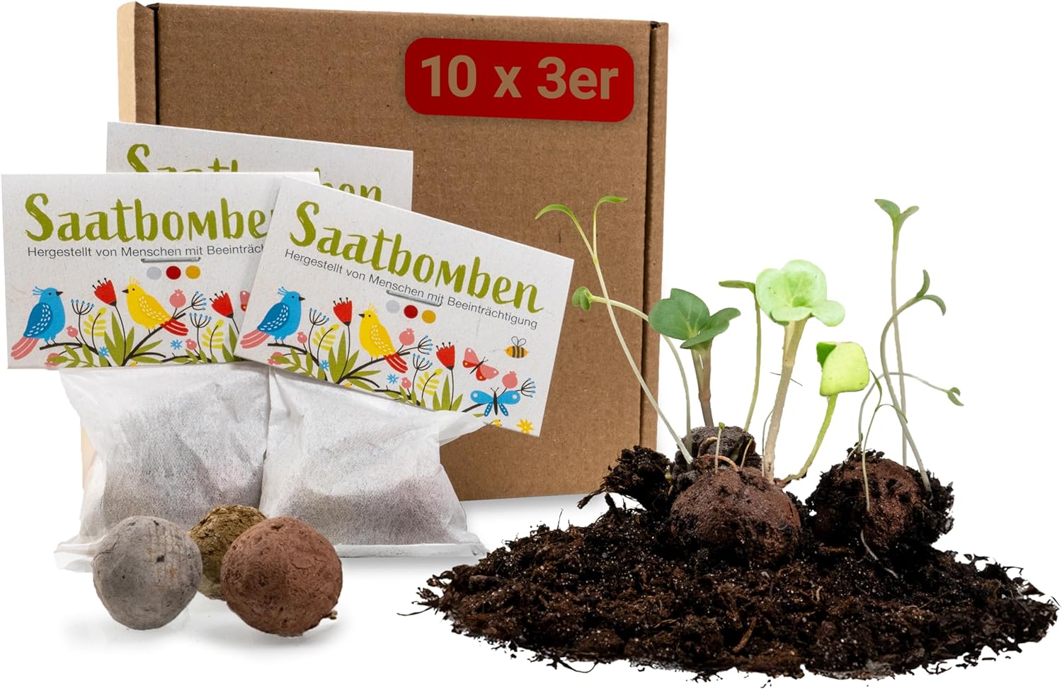 LouMaxx Set aus 10x3 handgemachten Saatbomben, Ostergeschenke Kleinigkeit, Blumensamen als Gastgeschenk, nachhaltige Samen Kinder Mitgebsel, ökologische Pflanzkugeln mit über 50 Arten Blumen & Kräutern