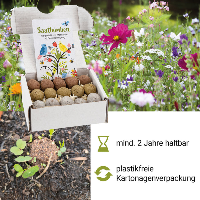 LouMaxx 15er Pack handgemachte bunte Samenbomben ideal als Samen Kinder Mitgebsel, Blumensamen Kugeln als nachhaltige Mitgebsel - ökologische Saatbomben mit über 50 Arten Blumen & Kräutern