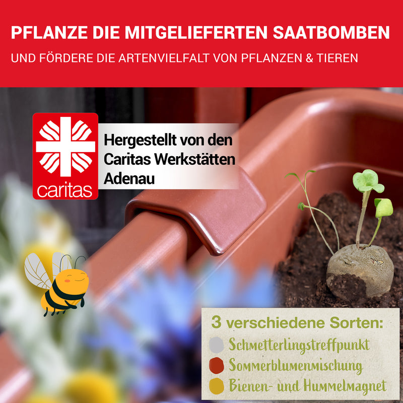 LouMaxx Blumenkastenhalter terracotta, 4er Set mit Adapter inkl. Saatbomben